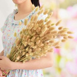 Decorative Flowers Tail Natural Plants Dried Grass Pennisetum Home Accents Decor Pastoral Hay Twist