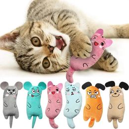 Cute Cat Toys Funny Interactive Plush Toy Mini Teeth Grinding Catnip Kitten Chewing Squeaky Pets Accessories 240410