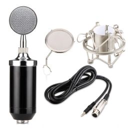 Microphones BM8000 vintage classic karaoke microphone studio condenser mikrofon mic with Pop Philtre Radio Braodcasting Singing Recording