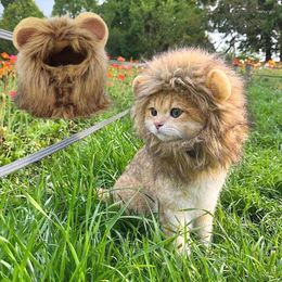 Cat Costumes Cute Lion Mane Wig Hat Cats Cosplay Clothes Puppy Kitten Halloween Christmas Cap Costume Party Decoration Pet Accessories