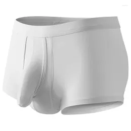 Underpants Big Convex Bulge Enhancing Pouch Sexy Underwear Men Cotton Boxer Shorts Separate Male Lingerie Cheeky Panties Ball