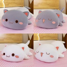 Super Soft Peach Cat Sleeping Pillow with Pillow, Leg Clamping Plush Toy Doll Pillow for Girl's Birthday