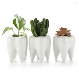 Vases Nordic Style Succulent Potted Plant Pure White Ceramic Pen Holder Home Decoration Tooth Shaped Cross-border Flower Pot