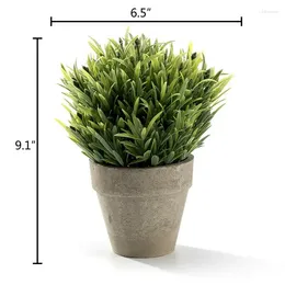 Decorative Flowers Realistic Plastic Faux Plant Fake Green Grass Tabletop Arrangement With Pot For Home Decor (Green)