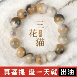 Strands Original Rare Colour Bodhi Root Bracelet Female Play Buddha Bead Student Plate Play Gradient HandString Male Valentine's Day Gift