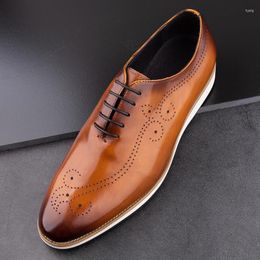 Casual Shoes For Men Styles Genuine Leather Men's Sneakers Walking High Quality Comfortable Flat Durable