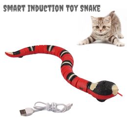 Toys Novelty Snake Toy Funny Cat Interactive Toys Cat Stick Snake Tease Pet Dogs Play Mischief Novelty Gift Kitten Interactive Teaser