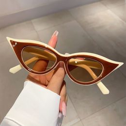 Designer luxury fashion cat eye frame sunglasses Retro literature and art personality small leg framed sunglasses for women retro cross-border trend