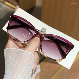 Sunglasses Oversized Reading For Women Men 2024 Fashion Elegant Presbyopia Farsighted Eyeglasses With 1.0 1.5 2.0 2.5 3.0 4