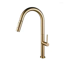 Kitchen Faucets Gold Finish Stainless Steel 304 Water Faucet Mixer Tap Pull Out