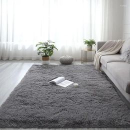 Carpets Custom Made Size Rugs Living Room Carpet Fluff 4.5cm Bed Blankets Floor Bath Door Modern Bedroom Mats