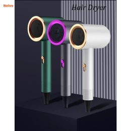 Dryer Professional Hair Dryer Home Appliances High Power Blue Light Anion AntiStatic Modelling Tools Hot And Cold Air Hair Dryer