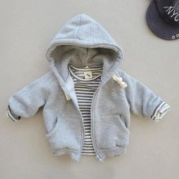 Jackets 2024 Spring Autumn Children Boys Cotton Hoodie Solid Thick Coat Warm Simple Stretch Sports Kids Outerwear