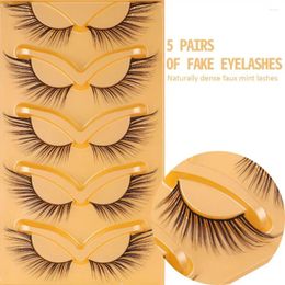 False Eyelashes Big Eye 5 Pairs Fairy Natural Look Cat Lashes Fake For Women