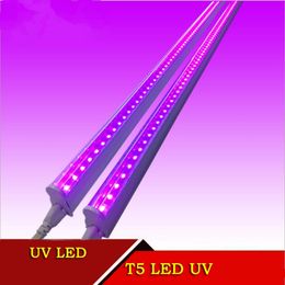 T5 LED Tüpler Entegre LED UV 395-400NM 120cm 4ft 20W AC100-240V Işıklar 120LEDS FCC PF0.9 1200mm Blubs Lambalar Ultraviyole Dezenfeksiyon Mikir Aydınlatma Doğrudan Çin