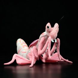 Cushions New Simulation Pink Orchid Mantis Plush Toy Cute Malaysian Orchid Praying Mantis Hymenopus coronatus Knife Mantis Doll Gift