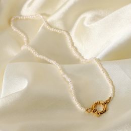 Clips 38cm length Natural Freshwater Pearl Beads Choker 18K Gold Plated Stainless Steel Round Spring Clasp Sailor buckle Necklace