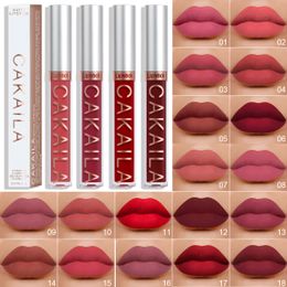 18 Colour waterproof non stick cup lip gloss, matte liquid lipstick lips CAKAILA