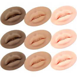 Bolts 3pcs Silicone 3d Lip Permanent Makeup Practice Skin Brown Nude Color Open Mould Lip Semi Pmu Microblading Training Pad Supplies