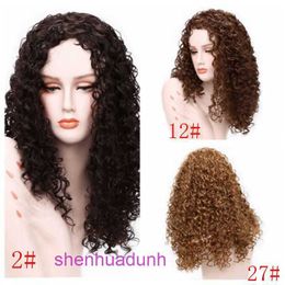 Wholesale Fashion Wigs hair for women Alice wigs small curls dark brown chemical fiber long womens headgear