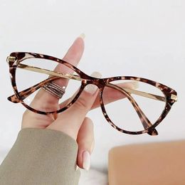 Sunglasses Fashionable Anti-Blue Light Glasses Trendy Women Oversized Optical Frame Eye Protection Ultra Eyeglasses Cat's Goggles