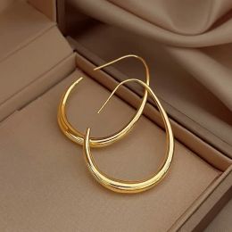 Earrings Hot Sale Geometric Oval Hoop Earrings for Women Simple Desgin Earrings Party Wedding Fashion Jewellery Accessories 2023