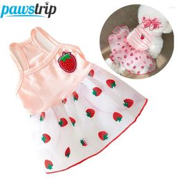 Dog Apparel Cute Pet Dress For Small Dogs Thin Puppy Princess Skirt Summer Clothes Chihuahua York Clothing Supplies