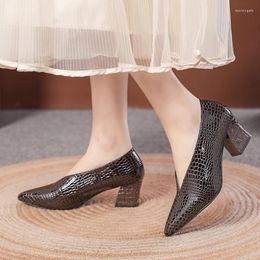 Dress Shoes Female 2024 Pointed Toe High Heels Women Retro Solid Color Shallow Mouth Spring And Autumn Snake Skin