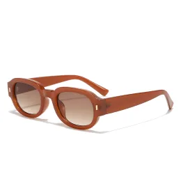Accessories 2024 Round Sun Glasses High Quality AC Lens Eyewear Women Men Driving Dropshipping Polarized Fishing Sunglasses