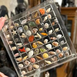 Decorative Plates Acrylic Magnetic Seashell Storage Box Clear 36/64 Grids Rock Display Case Collection For Bead Nail Jewellery