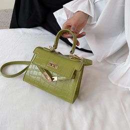 Bag Stone Pattern Crossbody Bags For Women Designer Small Handbags Chain Shoulder Messenger Mini Purses Hand