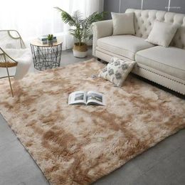 Carpets J1877 Square Modern Minimalist Carpet Household Bedroom