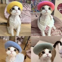 Caps Cute Solid Colour Pet Beret Cat Wool Hat Dog Accessories Beret Mini Decorative Photo Headwear Accessories