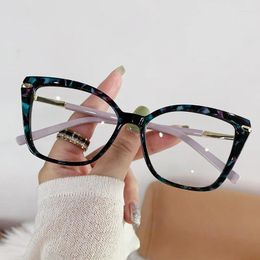 Sunglasses Women's Anti Blue Light Glasses Fashionable Cat Eye Personalised Eyeglass Frame Optical Flat For Neutral