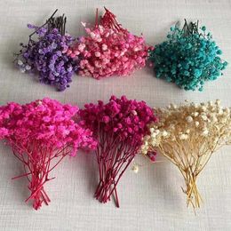 512CM 30PC Real Dried Babys BreathGypsophila Flowers BranchMini Preserved Baby Breath Flower for Invitations Card Decoration 240422