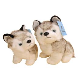 whole husky plush toy super cute animal small dog Grey husky stuffed toys 18cm 7quot inch9375302