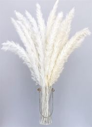 30pcs Bulrush Natural Dried Pampa Grass Flowers Dry Plants Small Flower for Decoration Fall Wedding Home Decor Real Pampas Grass I8362755