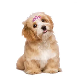 Dog Apparel Crown Cat Hair Clips Grooming Accessories Headwear Headdress 10pcs