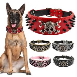 2 Wide Spiked Studded Leather Dog Collar Bullet Rivets With Cool Skull Pet Accessories For Meduim Large Dogs Pitbull Boxer SXL 240418