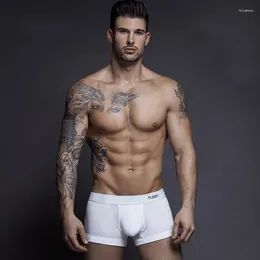 Underpants Men Classic Basic Solid Top Quality Cotton Men's Underwear Boxer Shorts Gay Sexy Mens Trunks Panties Sleepwear