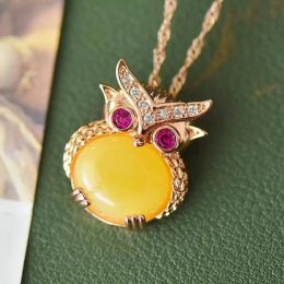 Necklaces Natural Amber Owl Necklace Women Healing Gemstone Fine Jewelry Genuine Baltic Yellow Ambers Ruby Zircon Owl Pendant Necklaces