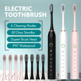 Heads Sonic Electric Toothbrush for Adult Smart Timing Tooth Brush Teeth Whitening Fast USB Rechargeable 4 Toothbrush Replacement Head