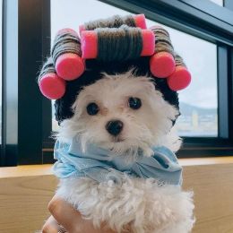 Caps Pet Halloween Curly Hair Wigs Dress Up Costume With Adjustable Straps Buckle Unique Gifts For Dogs Cats