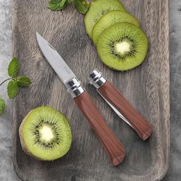 Stainless Steel Folding Fruit Knife, EDC Portable Pocket Knife, Self-defense Knife, Wooden Handle Kitchen Accessories, BBQ Knife