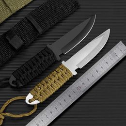 High Hardness Outdoor Straight Knife, Portable EDC Pocket Knife with Scabbard, Multi-purpose Fruit Knife, Survival Knife Camping