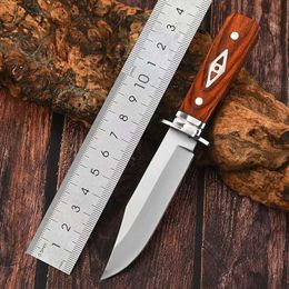 Outdoor High Hardness Straight Knife, EDC Portable Fruit Knife, Suitable for Hiking Cutting Knife, Survival Knife