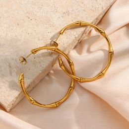 Earrings 2022 New Minimalist Basic Thin Bamboo Large Gold Hoop Earrings For Women Stainless Steel Gold Plated Waterproof Female Big Hoops