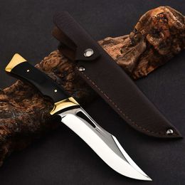 Outdoor High Hardness Cutting Knife, EDC Convenient with Sheath, Fixed Blade, Sharp Boning Knife, Survival Tool in the Field