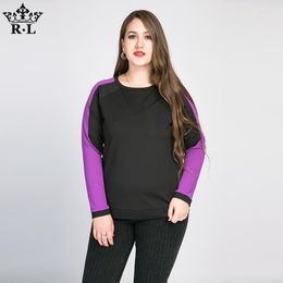 Women's T Shirts Panel Raglan Sleeves Plus Size BF Style Base Shirt Top
