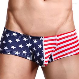 Underpants Sexy Men Striped Underwear Boxers American Flag Print Men's Boxer Shorts Bulge Pouch Gay